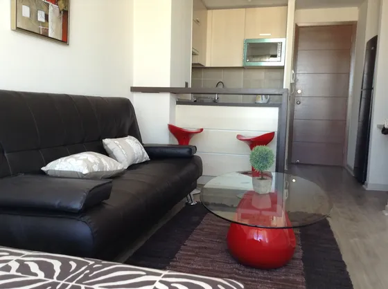 Departamento 1 Dormitorio A 2 Cuadras Metro Santa Lucía