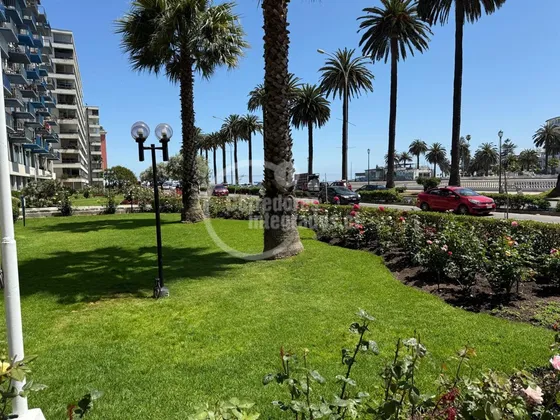 Departamento En Venta De 1 Dorm. En Viña Del Mar