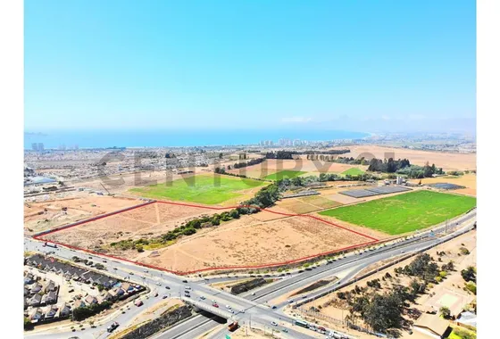 Se Vende Terreno De 8 Ha. En La Cantera, Coquimbo.