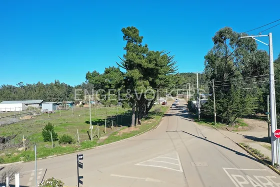 Terreno Urbano En Pichilemu