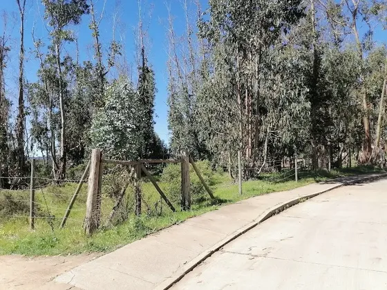 Terreno Urbanizado, Plano, Esquina, A Cuadras De La Playa,