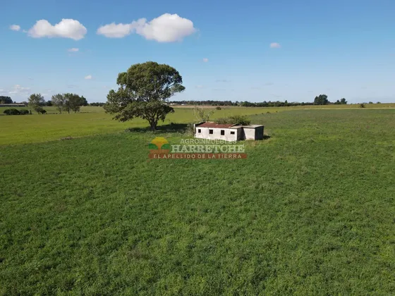 Chacra De 5.4 Has En Los Cerrillos, Construcción Precaria, Predio Alto Con Pradera Dueño Financia!