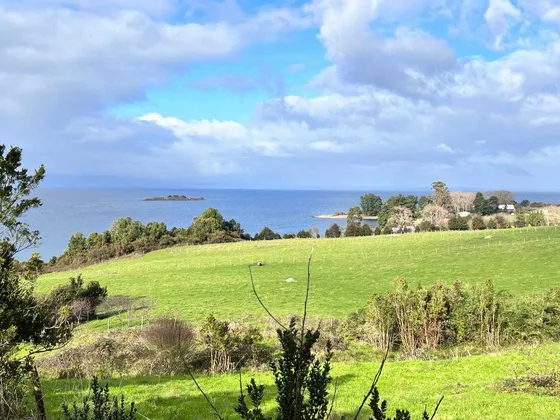 Esplendido Terreno En Los Bajos De Frutillar (81330)