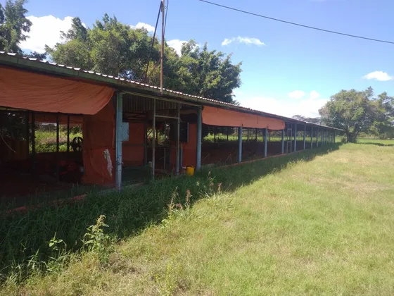 Granja Cría De Pollos En El Estado Cojedes 10 Hectáreas  El Mejor Precio De Venta 