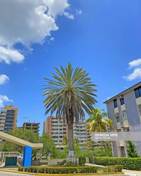 Solo Clientes Directos, En Venta Apartamento Conjunto Residencial Morro Humboltd, Lecheria, Estado Anzoategui