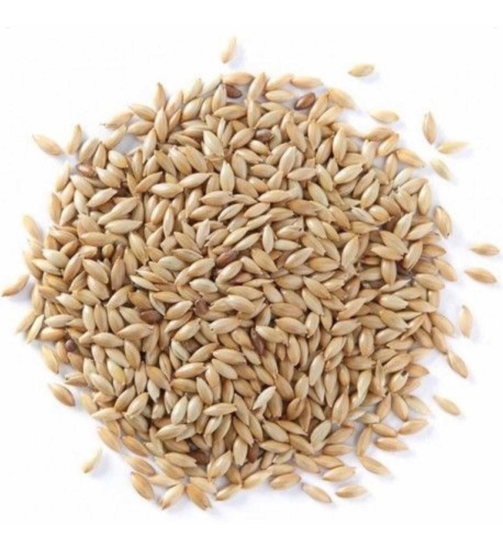 Alpiste Para Consumo Humano Mercadona Alpiste Semilla Natural 2 Kilos - kg a $8900 | Mercado Libre