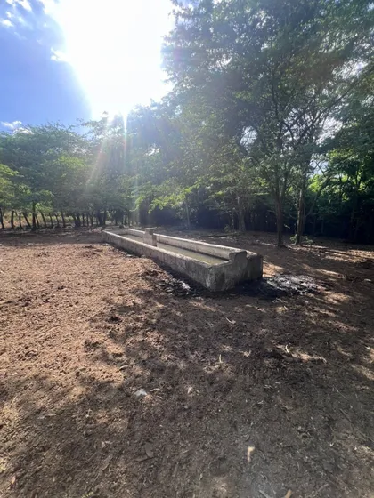 Venta De Finca Ganadera En San Jose De Las Matas Venta