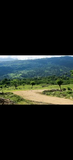Tenemos Proyecto De Solares En Puerto Plata,el M2 Desde Us85