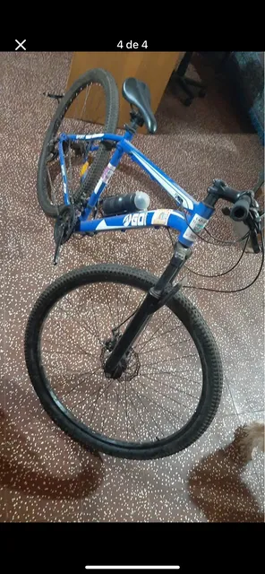 Bicicletas