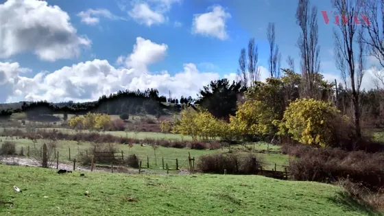 Agrícola En Venta En Traiguén