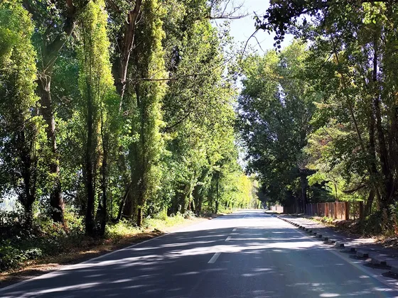 Parcela En Venta En Bulnes