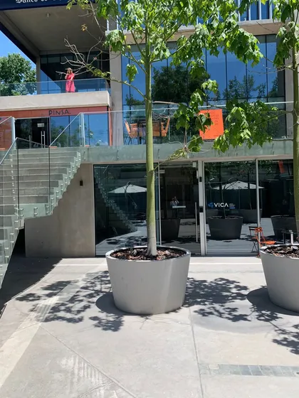 Extraordinarios Locales Comerciales Con Renta