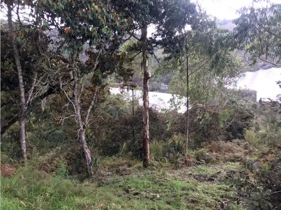 Lote En Venta En Guarne - Guapante