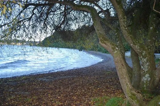Parcela En Venta En Frutillar Orilla De Lago