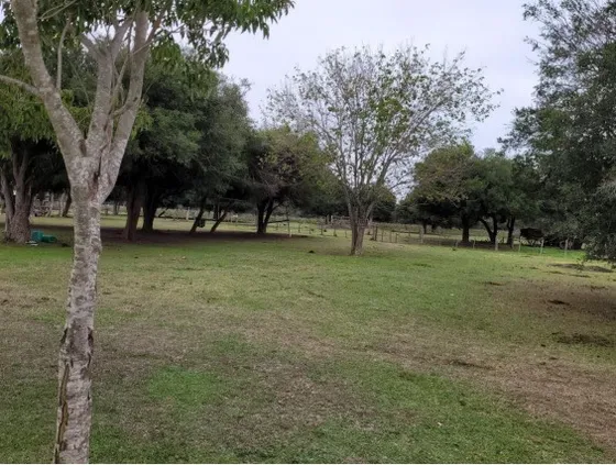 Campo 451 Hectáreas Ganaderas Sauce Corrientes 