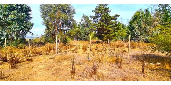 Espectacular Terreno De 10.000m² Hacienda Reñaca