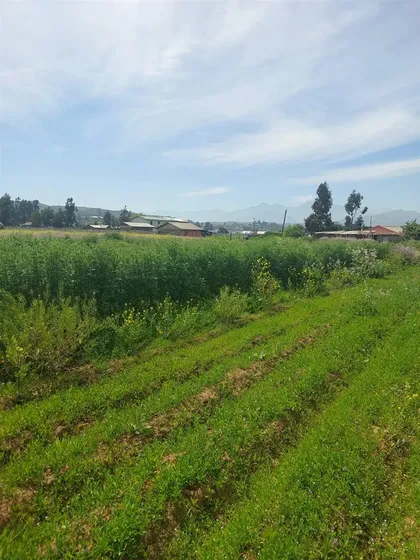 Parcela En Venta En Limache