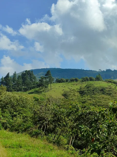 Ad. Excelente Finca En Venta La Mulera