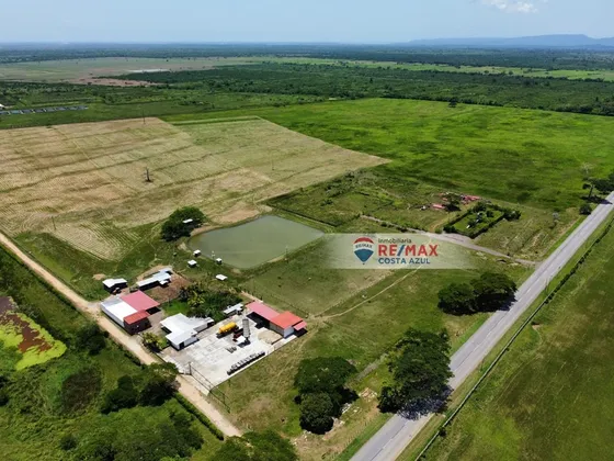 En Venta Finca De 45 Hectáreas De Terreno Plano, A Orilla De Carretera En El Alto, Yaracal.