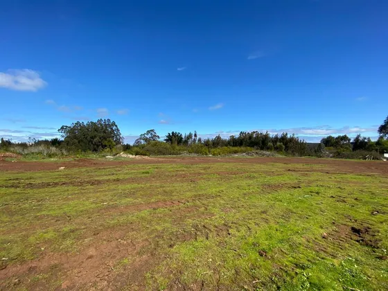 Terreno Construccion En Venta En Tomé