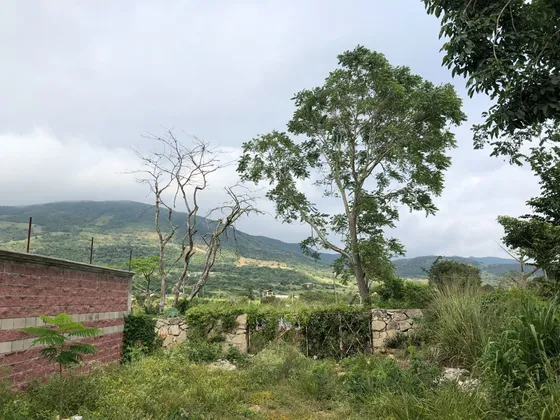 Terreno En Venta En Viva Cardenas