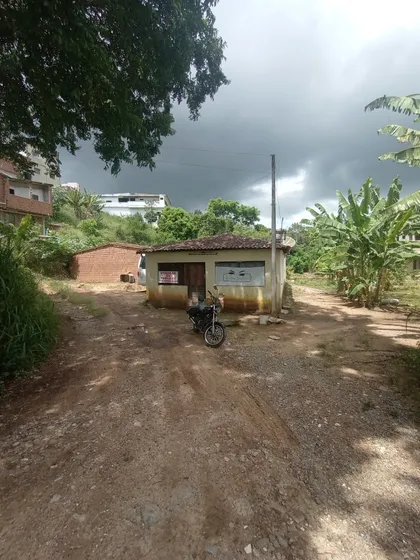 Duas Casa,poço Amazona E Outro Cacimba, Plantas Frutíferas 