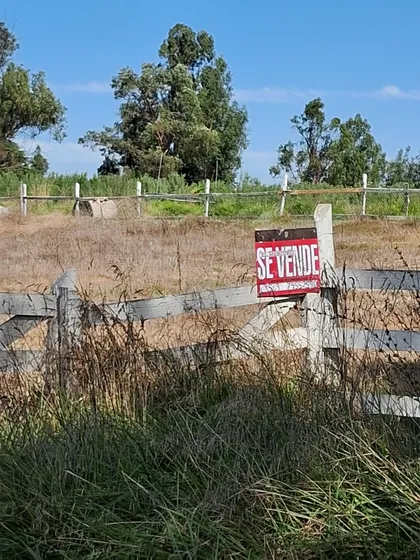Parcela Codigua