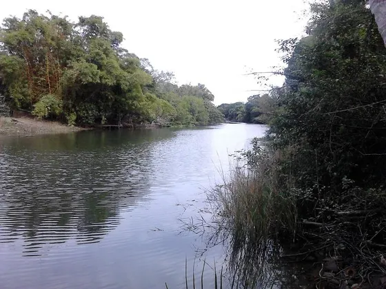 Venta Finca Terreno 5000 M² En Juana Moza Tuxpan Veracruz