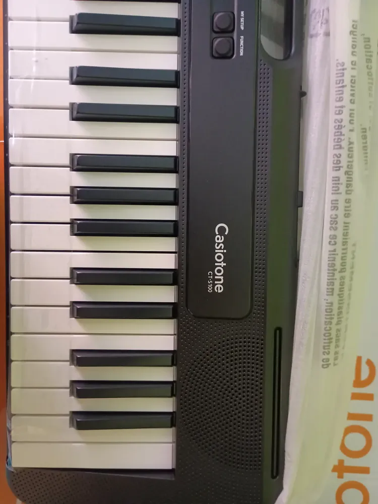Teclado Casio Ct-s100 Bk Preto Casiotone 61 Teclas Usb 110v Preto