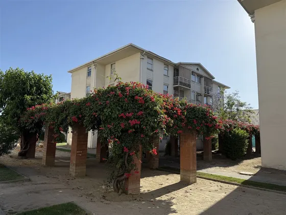 Departamento En Venta De 3 Dorm. En Macul