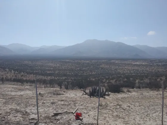 Parcela 20.000 Mts2 Directo A Ruta Del Romeral, La Serena