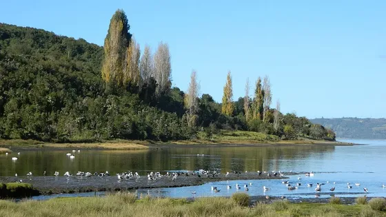 Turisticas En Venta En Ancud
