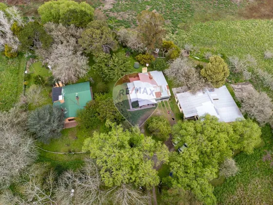 Venta Quinta Gral Madariaga, Idel Para Apicultores