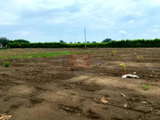 Rozo, 1.500 M2, Hermosos Lotes En Venta