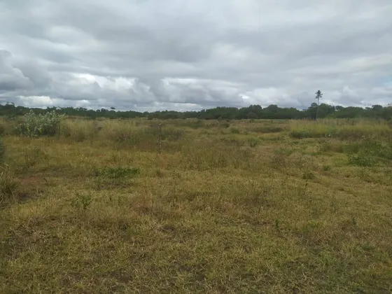 Venta De Espacioso Terreno En Boca De Aroa, Falcon. Inmobiliaria Maggi 1957