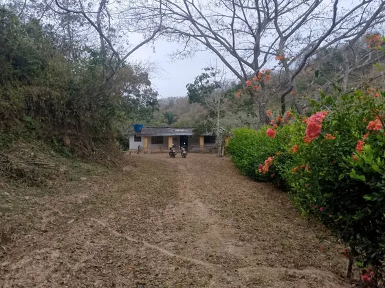 Cf Venta  Hermosa Finca  A 10 Minutos Del Pueblo De Miranda  Via Bejuma ,  100 Hectáreas