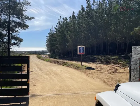 Parcela Plana En Venta En Alto Colorado - Pichilemu