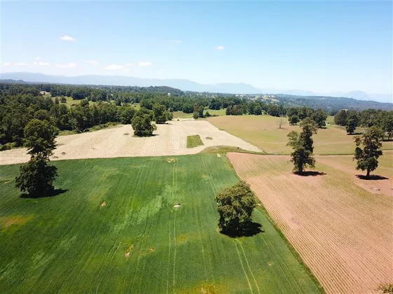 Agrícola En Venta En Paillaco