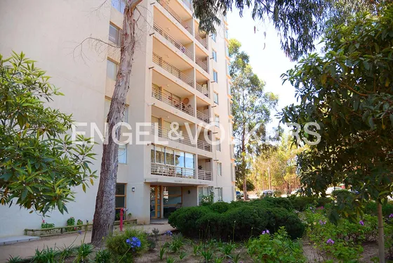 Arriendo Costa Algarrobo
