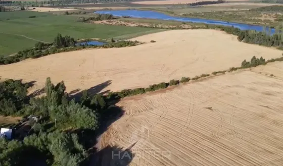 Cod39013 Agrícola De 107 Ha. Con Laguna En Venta En Bulnes