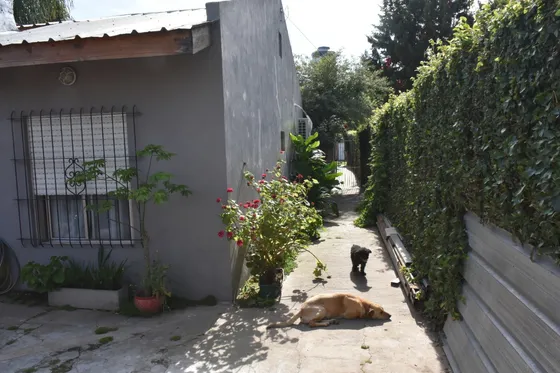 En Venta Casa En Ph Al Fondo - Los Polvorines