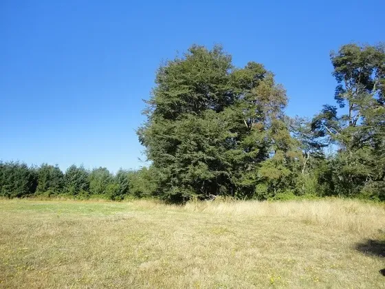 Agrícola En Venta En Mafil