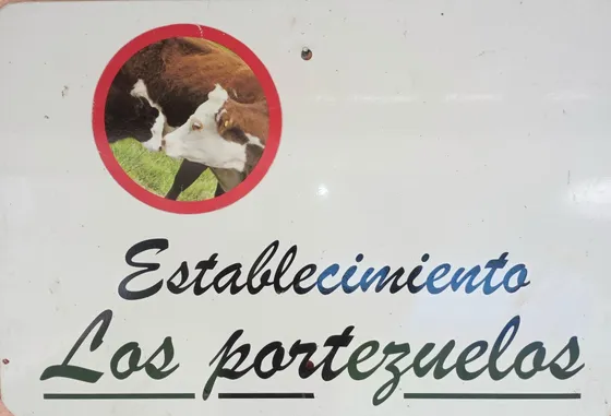 Campo Ganadero Vendo 5000 Hectáreas 