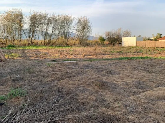 Amplio Sitio En Olivar, 1800 M², Gran Inversión