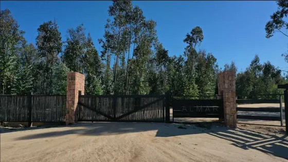Condominio Almar En La Palmilla, Navidad (91526)