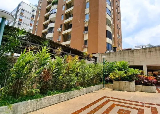 Venta  Bello  Apartamento Palos Grandes Completamente  Remodelado 1 Habitacion 1 Baño 1 Puesto Techado  Maletero Vista Avila Pozo Propio Ratzina 