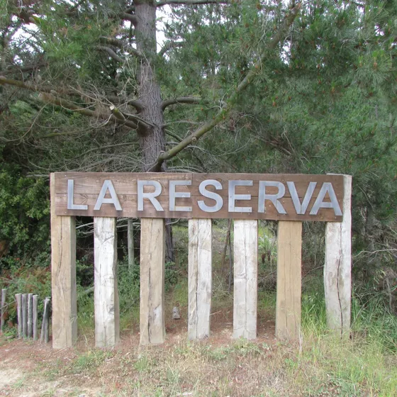 Parcelas Tunquén, Desde 5000m2, Varios Tipos Y Precios Desde