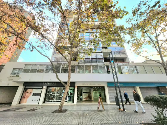 Nueva Providencia / P De Valdivia / Pje Orrego Luco