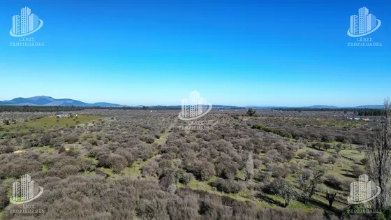 Terreno (campo 23hás) En Venta, 30 Minutos De San Javier
