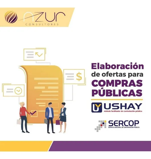 Elaboración De Ofertas Compras Públicas 